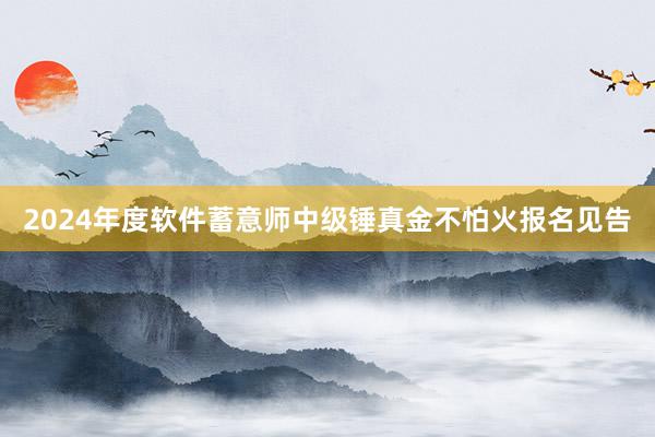 2024年度软件蓄意师中级锤真金不怕火报名见告
